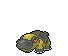 hippowdon