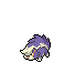 skuntank